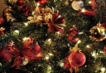 Τι στολίζαμε πριν το χριστουγεννιάτικο δέντρο;