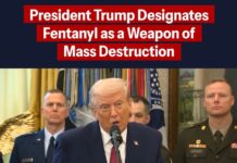 Ντόναλντ Τραμπ: Η Φεντανυλη είναι όπλο μαζικής καταστροφής