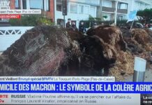 Μαρία Δεναξά: Η Γαλλική κυβέρνηση στέλνει τις ειδικές δυνάμεις της αστυνομίας για να διαλύσουν τα μπλόκα των αγροτών