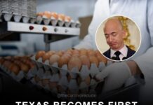 Το Τέξας σταμάτησε το σχέδιο παραγωγής συνθετικών αυγών του Τζεφ Μπέζος