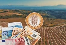 Σκάνδαλο ΟΠΕΚΕΠΕ – Γιαννιτσά: Στη φυλακή ο λογιστής