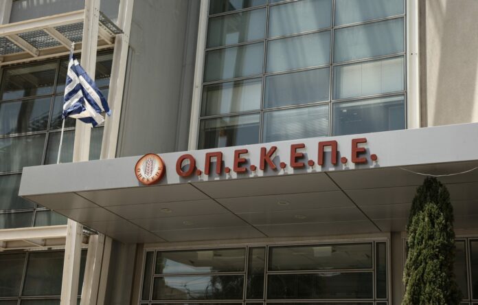 opekepe-e1750409672394